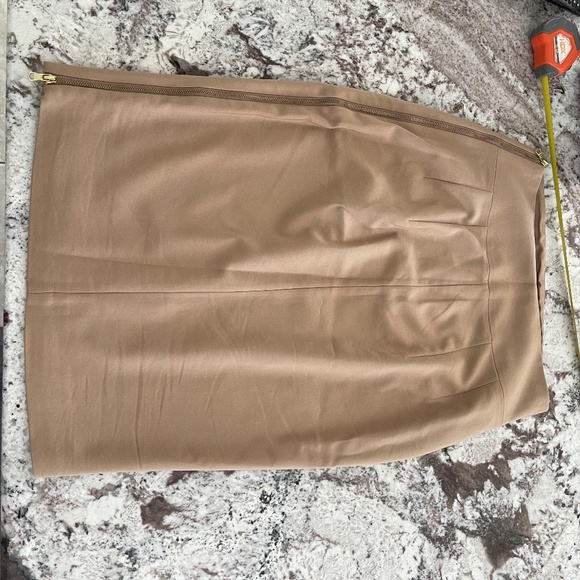 Express Pencil Skirt, Zipper detail - Picture 11 of 12